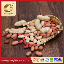 Original Quality Roasted Peanut in Shell From China